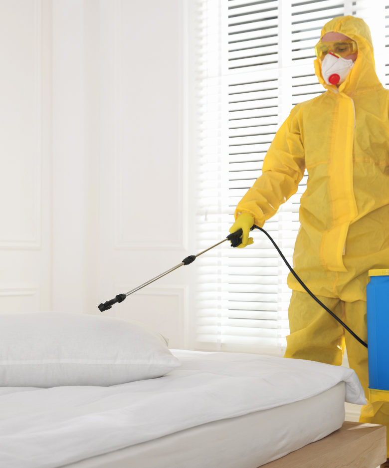 Professional Pest Control Team in Golden Grove